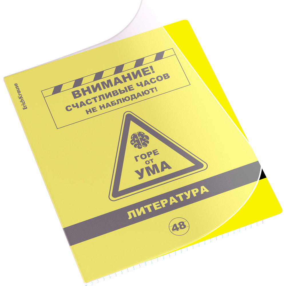 Тетрадь 48 л. линейка Be Informed, Литература 59481 ErichKrause
