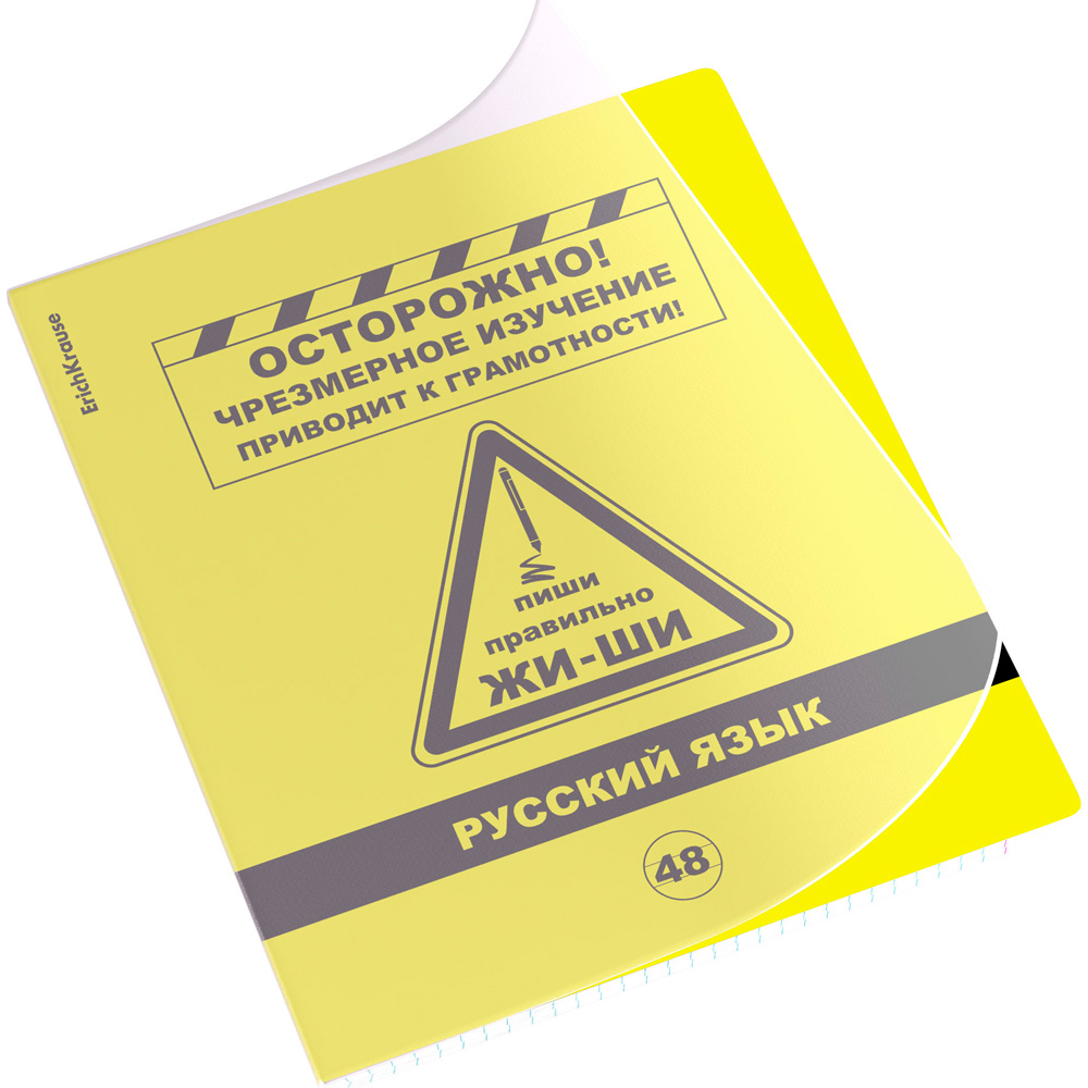 Тетрадь 48 л. линейка Be Informed, Русский язык 59480 ErichKrause