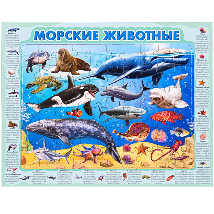 Пазл рамка 60 Морские животные П60-8739 Пазл рамка 60 Морские животные П60-8739