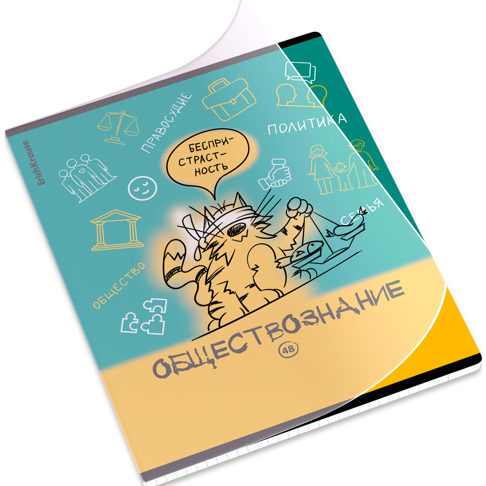 Тетрадь 48 л. клетка Котоформулы, Обществознание 62534 ErichKrause Тетрадь 48 л. клетка Котоформулы, Обществознание 62534 ErichKrause
